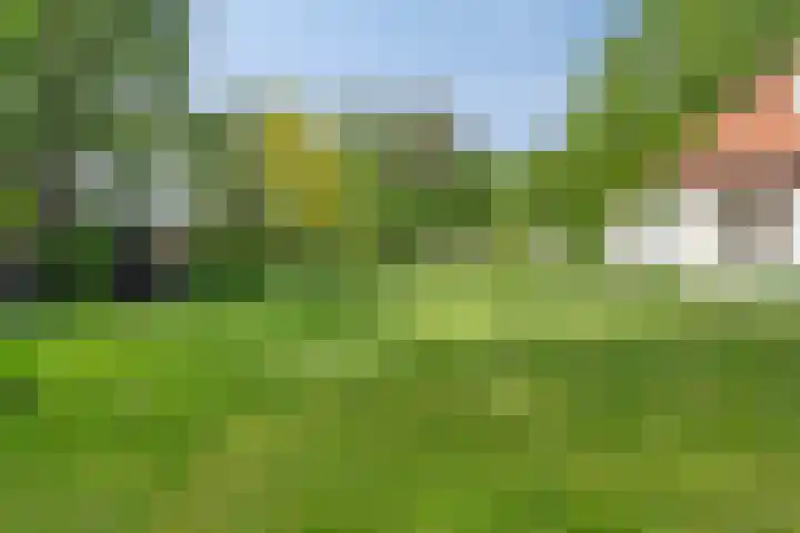 Quatre Brasweg 20 Gorssel thumbnail 70