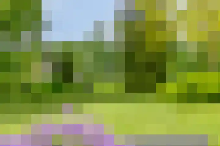 Quatre Brasweg 20 Gorssel thumbnail 71