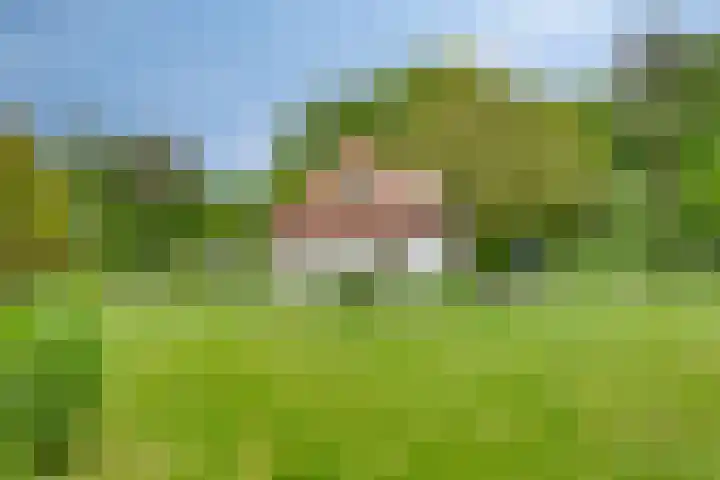 Quatre Brasweg 20 Gorssel thumbnail 72