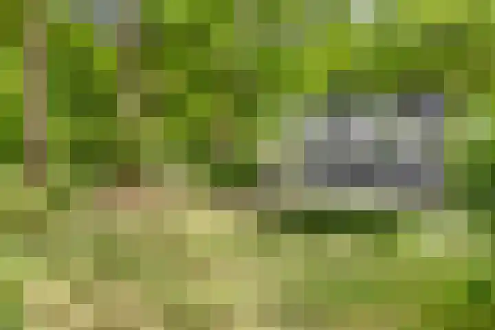 Quatre Brasweg 20 Gorssel thumbnail 73