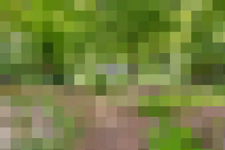 Quatre Brasweg 20 Gorssel thumbnail 74