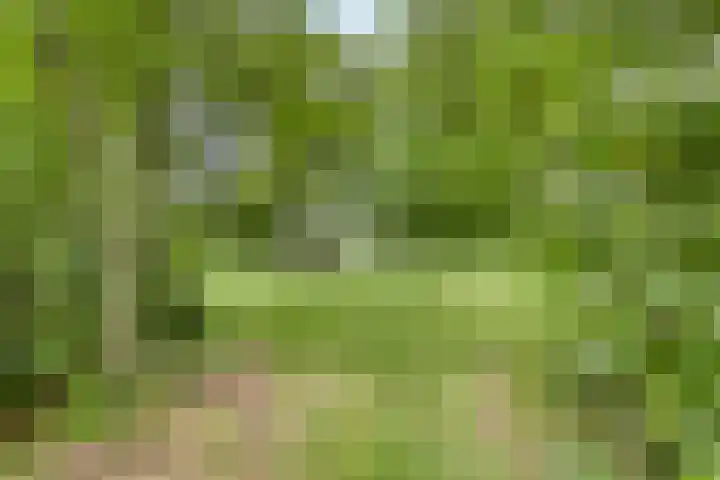 Quatre Brasweg 20 Gorssel thumbnail 75