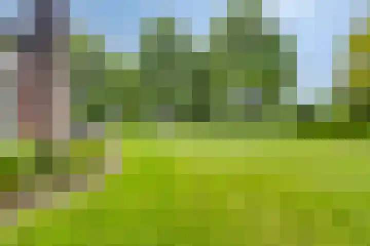 Quatre Brasweg 20 Gorssel thumbnail 76