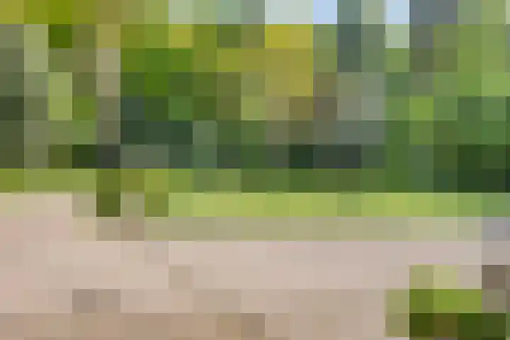 Quatre Brasweg 20 Gorssel thumbnail 77