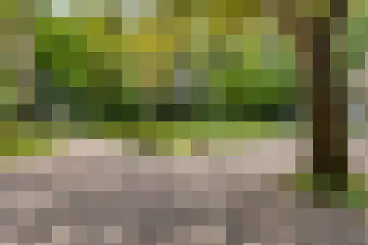 Quatre Brasweg 20 Gorssel thumbnail 78