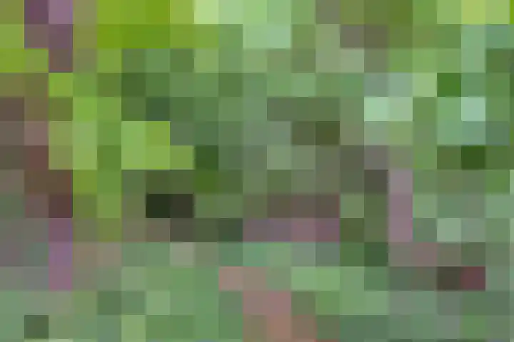 Quatre Brasweg 20 Gorssel thumbnail 79