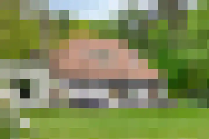 Quatre Brasweg 20 Gorssel thumbnail 8