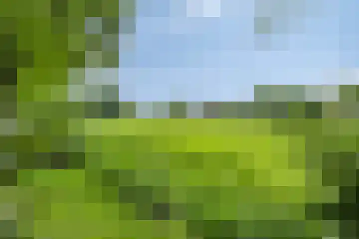 Quatre Brasweg 20 Gorssel thumbnail 81