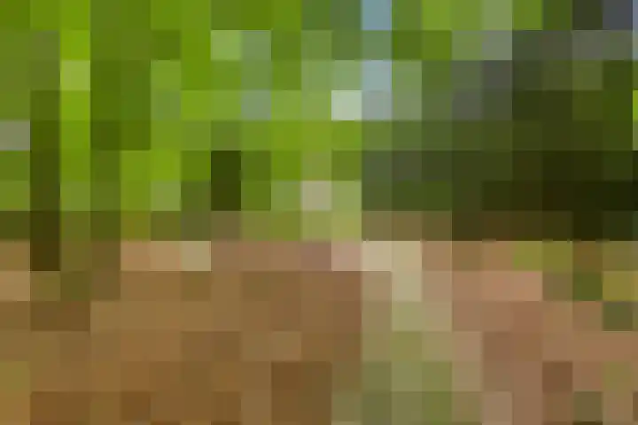 Quatre Brasweg 20 Gorssel thumbnail 82
