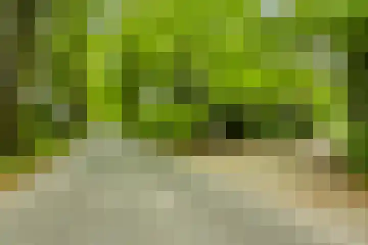 Quatre Brasweg 20 Gorssel thumbnail 84