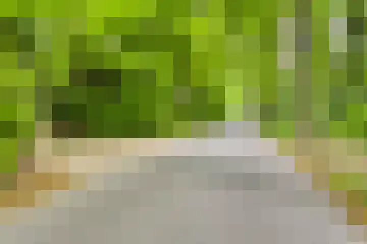 Quatre Brasweg 20 Gorssel thumbnail 85