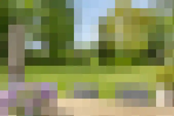 Quatre Brasweg 20 Gorssel thumbnail 9