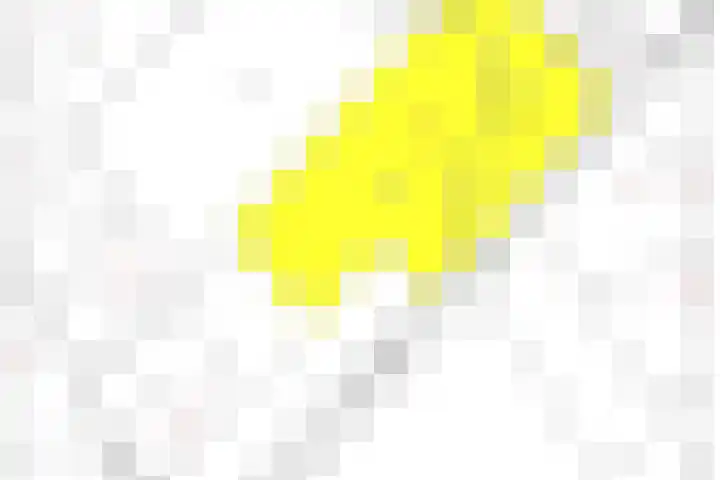 Quatre Brasweg 20 Gorssel thumbnail 90
