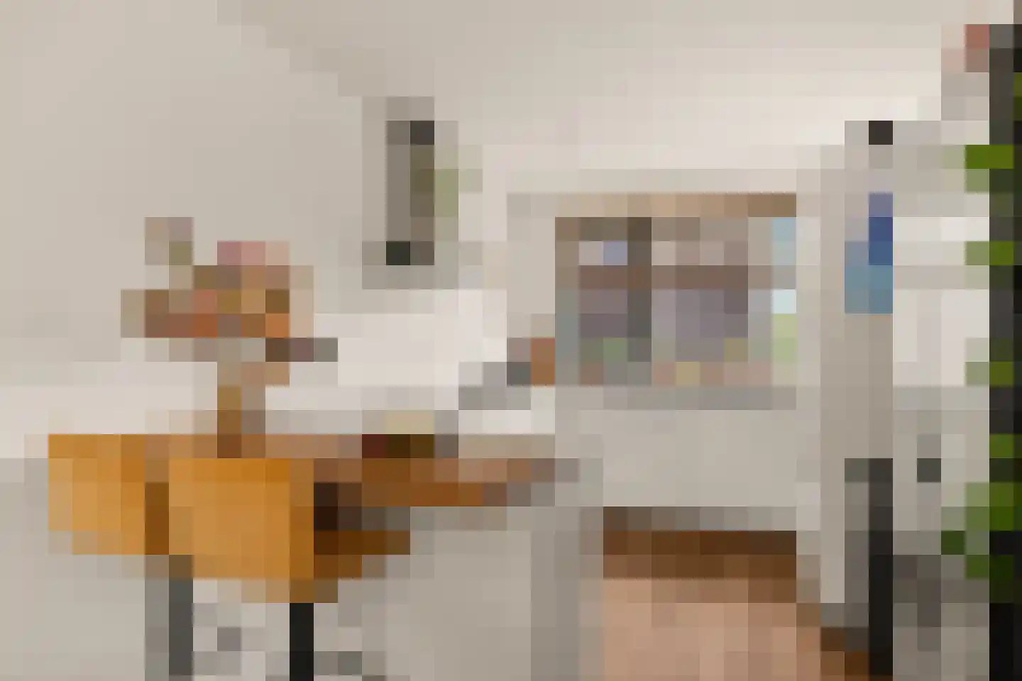 Queeckhovenhof 2 Utrecht thumbnail 14