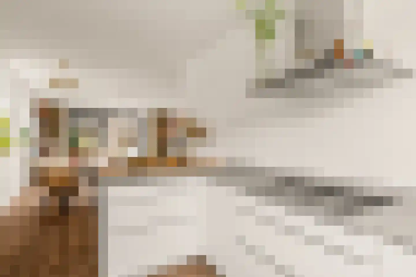 Queeckhovenhof 2 Utrecht thumbnail 17