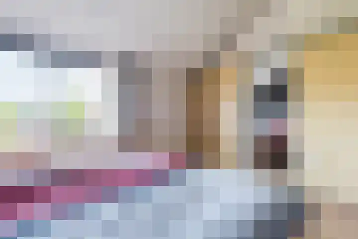 Queekhoven 105 Amersfoort thumbnail 12