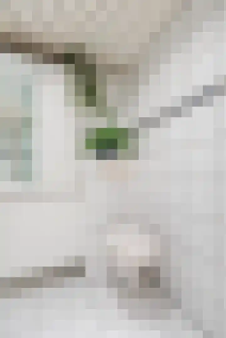 Queekhoven 105 Amersfoort thumbnail 18