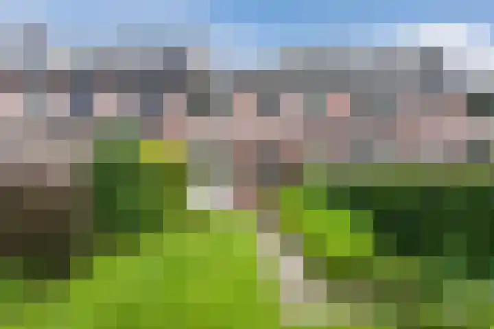 Queekhoven 105 Amersfoort thumbnail 23