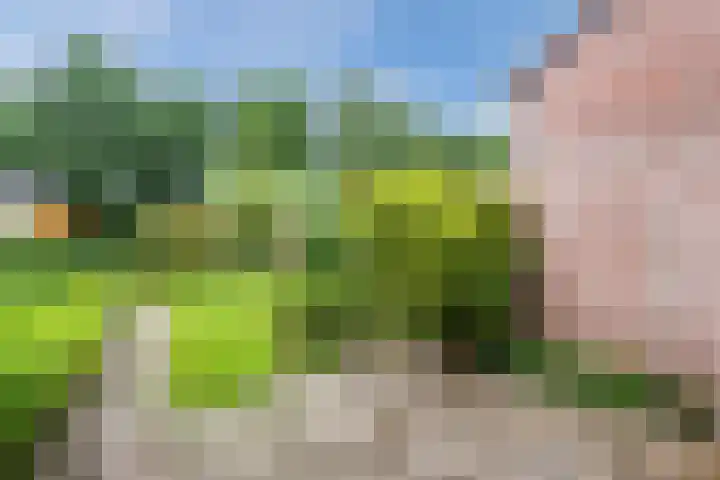 Queekhoven 105 Amersfoort thumbnail 25