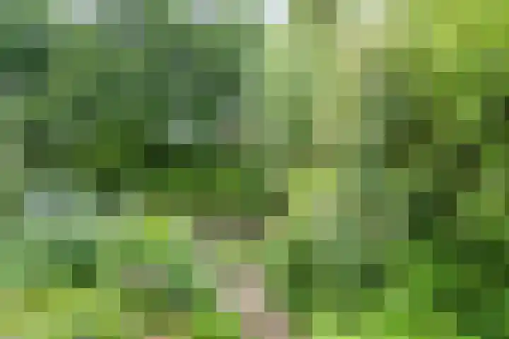 Queekhoven 105 Amersfoort thumbnail 27