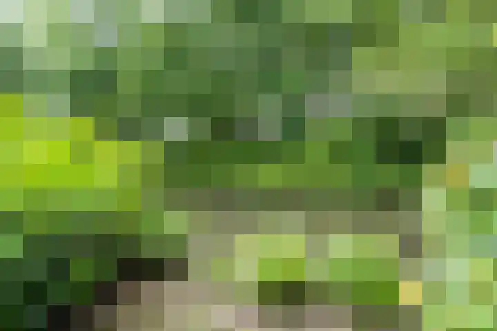 Queekhoven 105 Amersfoort thumbnail 28