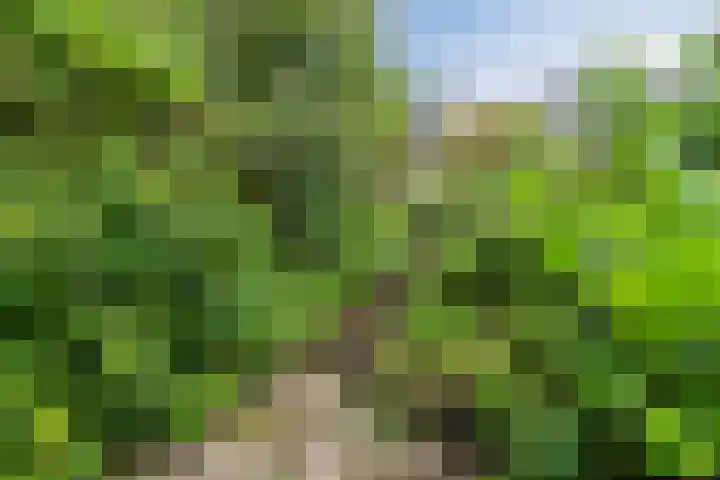 Queekhoven 105 Amersfoort thumbnail 29
