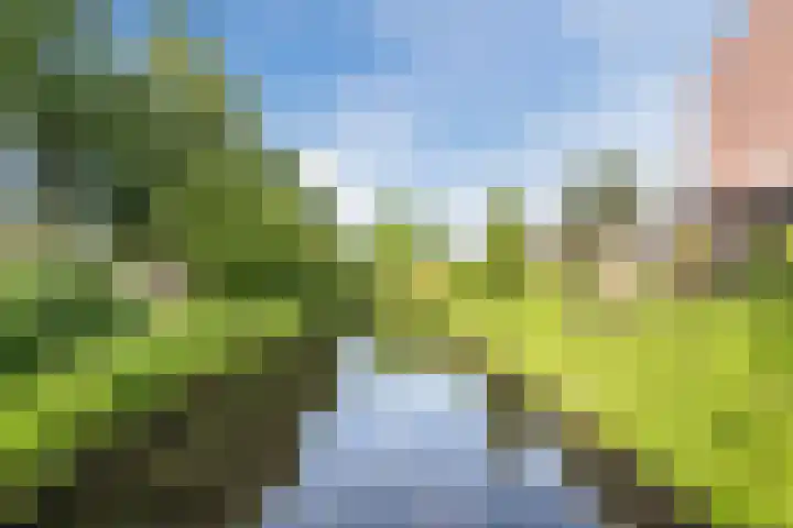 Queekhoven 105 Amersfoort thumbnail 30