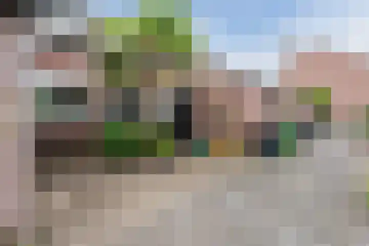 Queekhoven 105 Amersfoort thumbnail 32