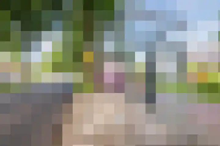 Queekhoven 105 Amersfoort thumbnail 37