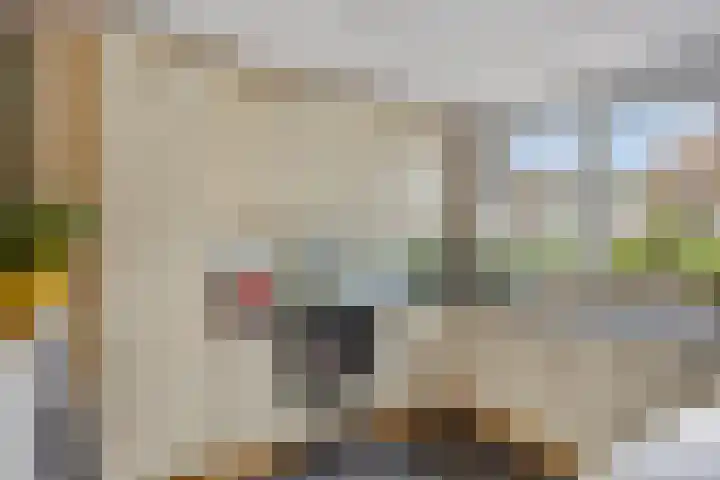Queekhoven 117 Amersfoort thumbnail 13