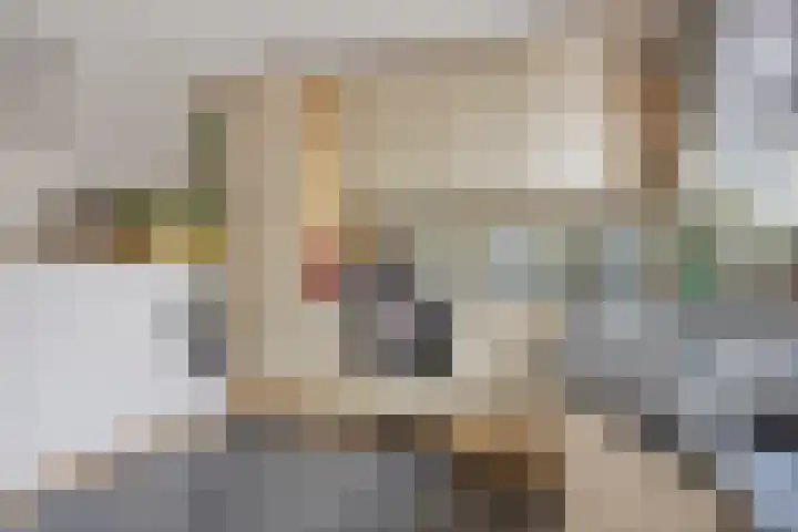 Queekhoven 117 Amersfoort thumbnail 14