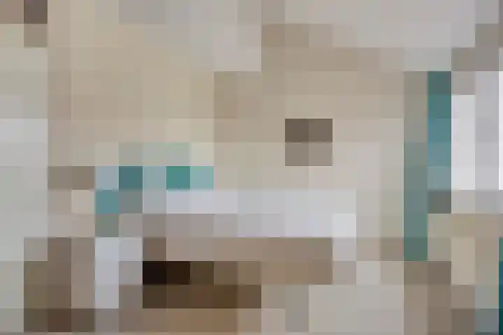 Queekhoven 117 Amersfoort thumbnail 16