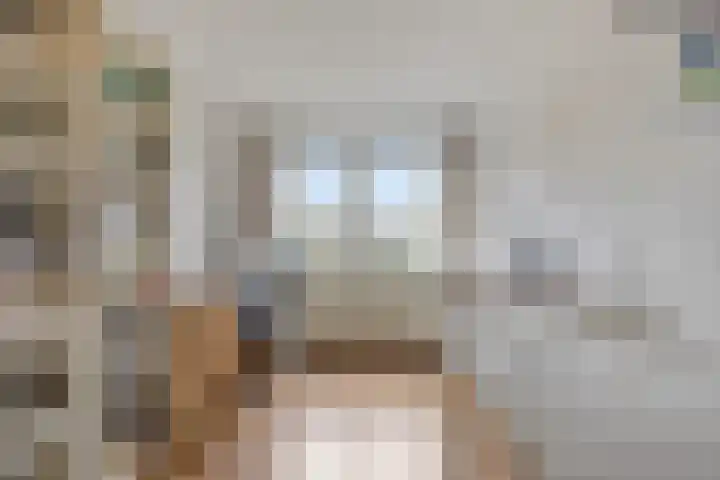 Queekhoven 117 Amersfoort thumbnail 18