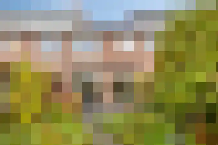 Queekhoven 117 Amersfoort thumbnail 23