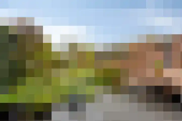 Queekhoven 117 Amersfoort thumbnail 24
