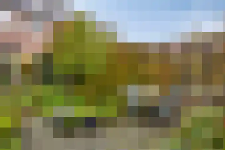 Queekhoven 117 Amersfoort thumbnail 25