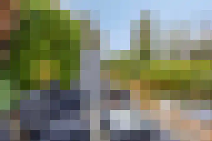 Queekhoven 117 Amersfoort thumbnail 26