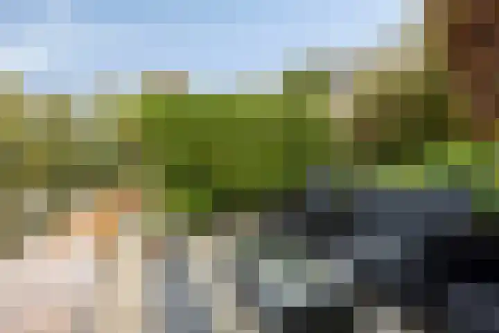 Queekhoven 117 Amersfoort thumbnail 27