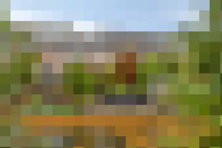 Queekhoven 117 Amersfoort thumbnail 28