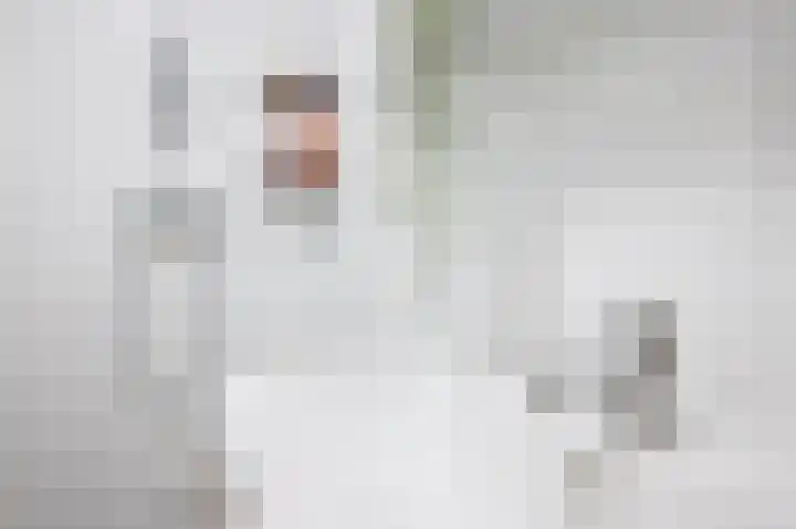 Queekhoven 143 Amersfoort thumbnail 21