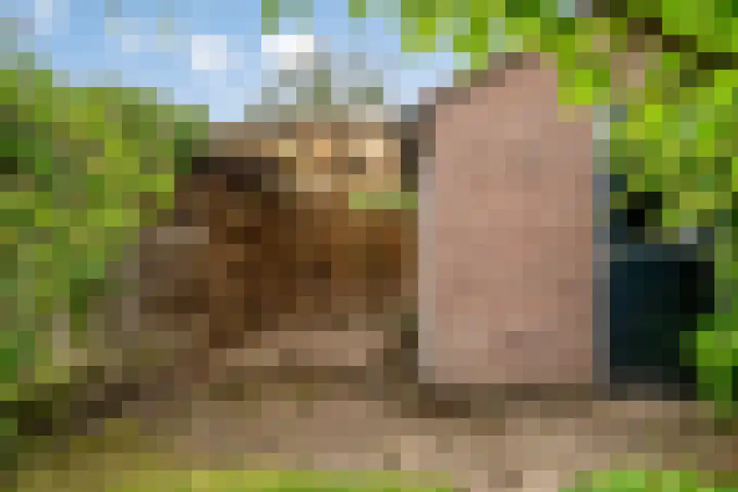 Queekhoven 40 Amersfoort thumbnail 22
