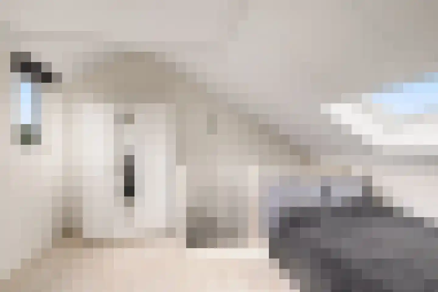 Queekhoven 43 Amersfoort thumbnail 37