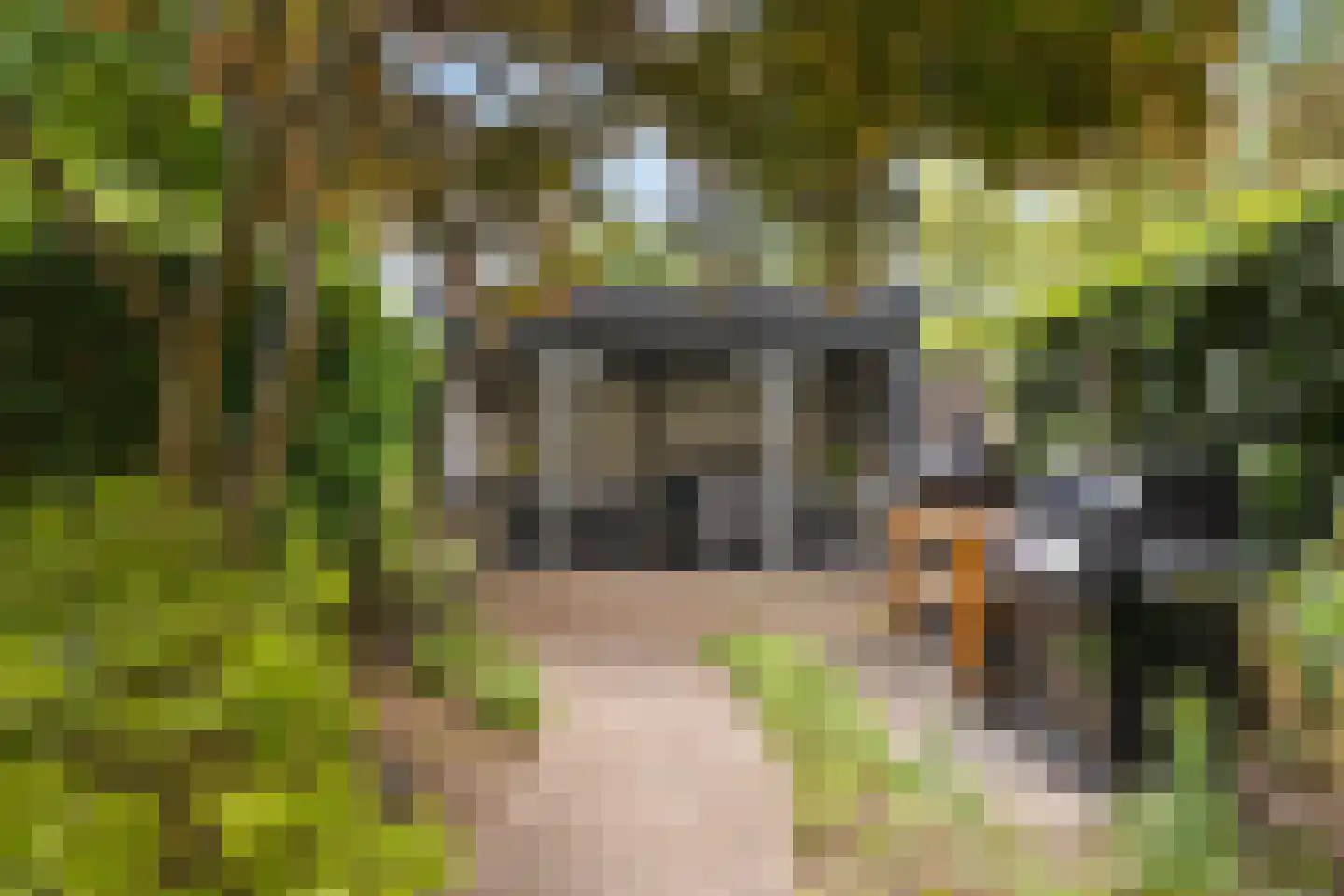 Queekhoven 43 Amersfoort thumbnail 41