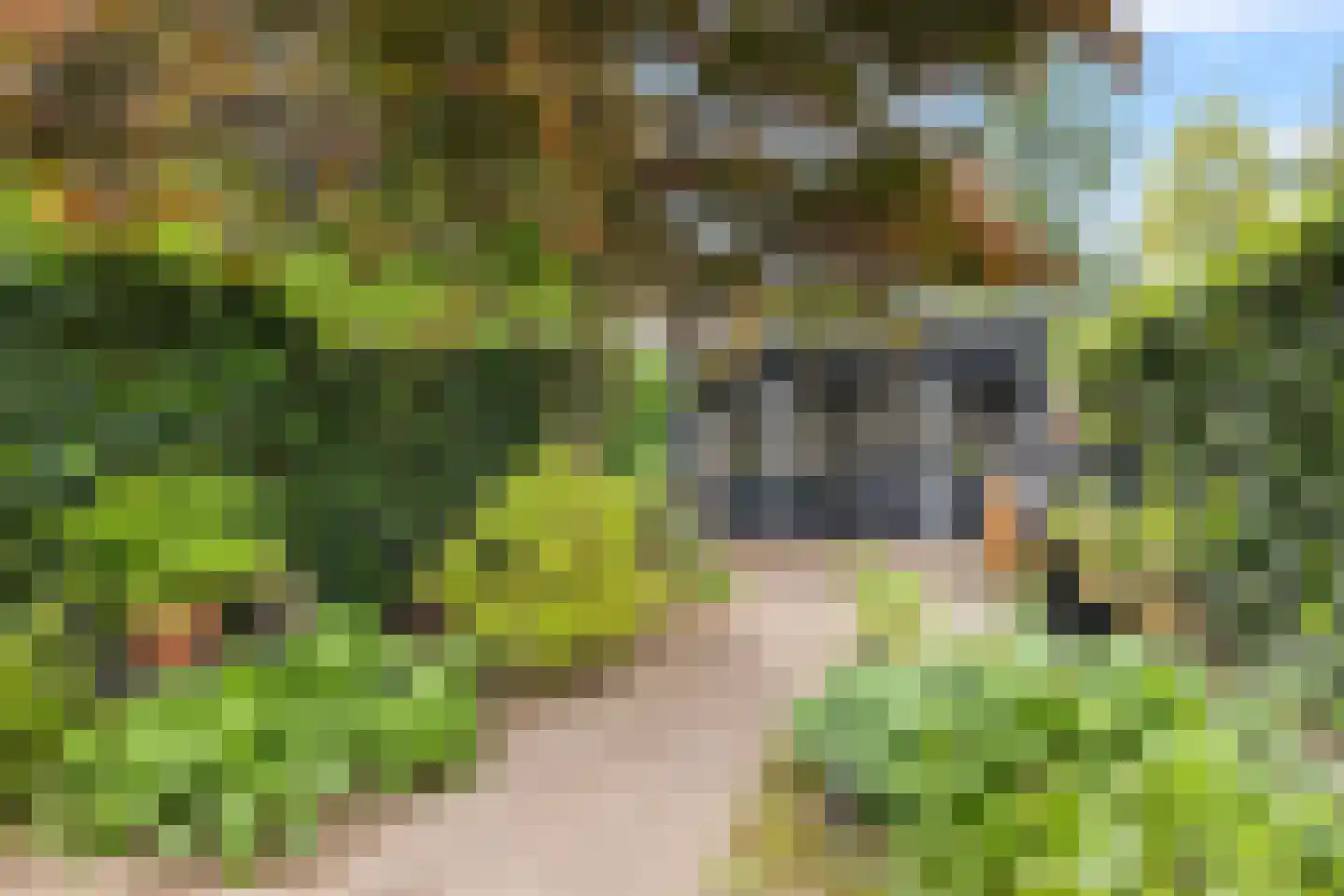 Queekhoven 43 Amersfoort thumbnail 42