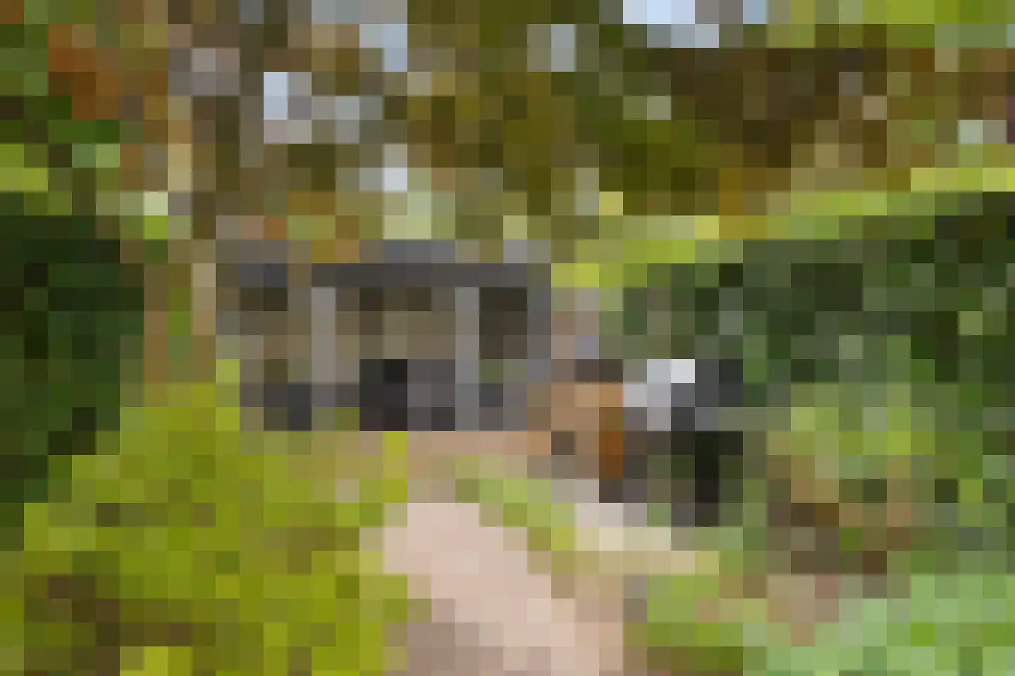 Queekhoven 43 Amersfoort thumbnail 43