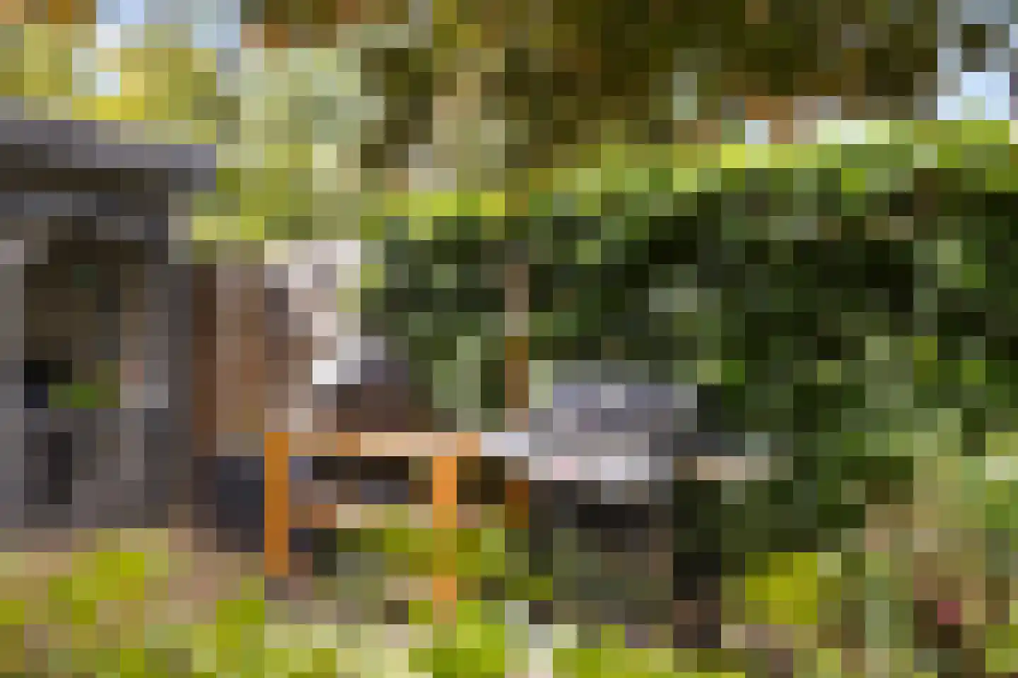 Queekhoven 43 Amersfoort thumbnail 44