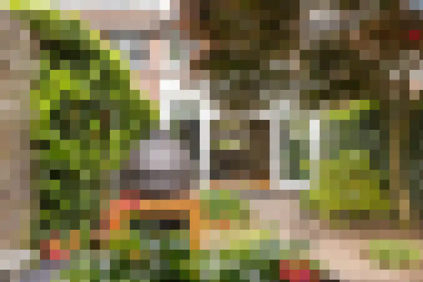Queekhoven 43 Amersfoort thumbnail 49