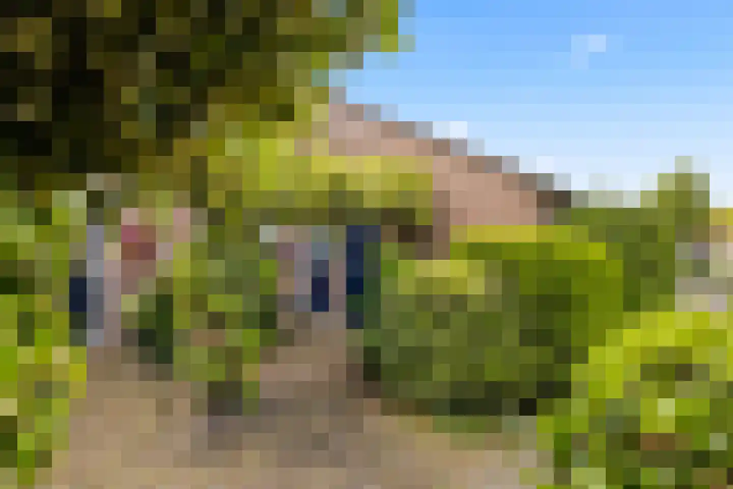 Queekhoven 43 Amersfoort thumbnail 6