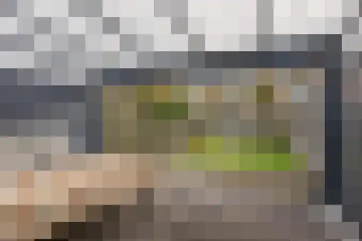 Queekhoven 53 Amersfoort thumbnail 41