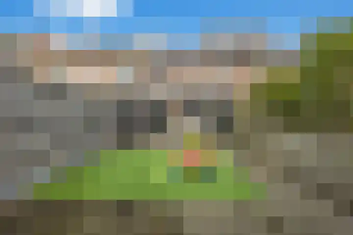 Queekhoven 53 Amersfoort thumbnail 44